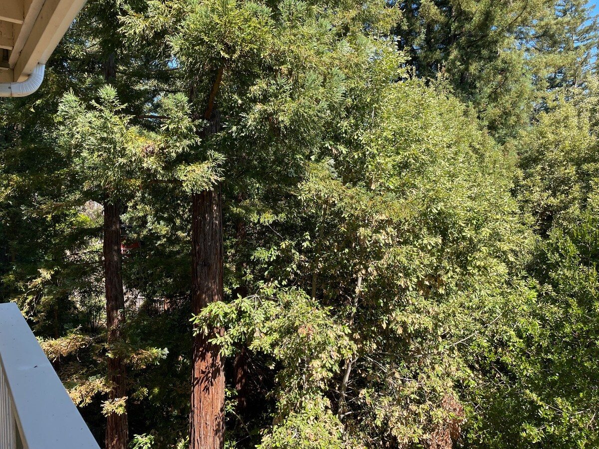 Deck & Outdoor Living photo 4