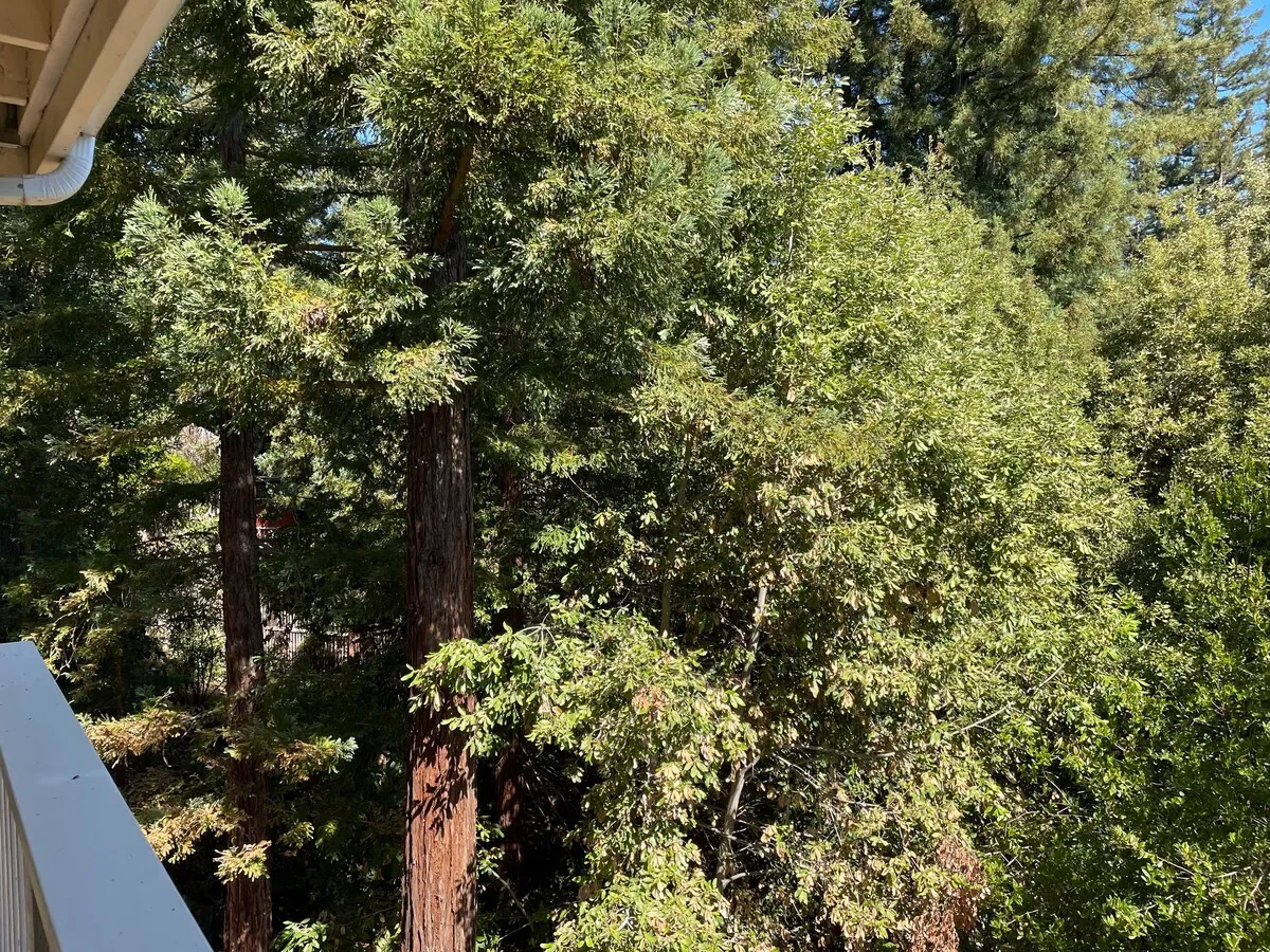 Wraparound deck with railing