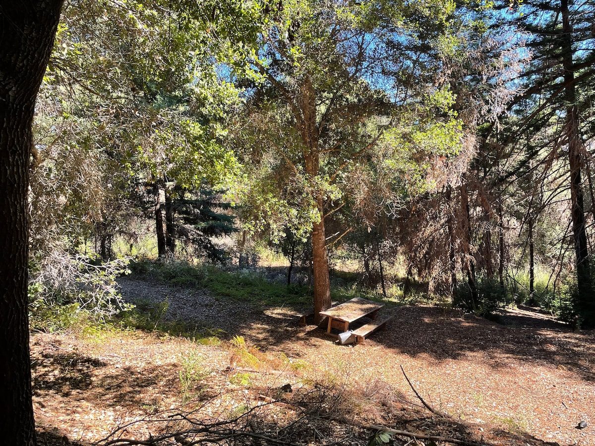 Forest Grounds & Exterior photo 9