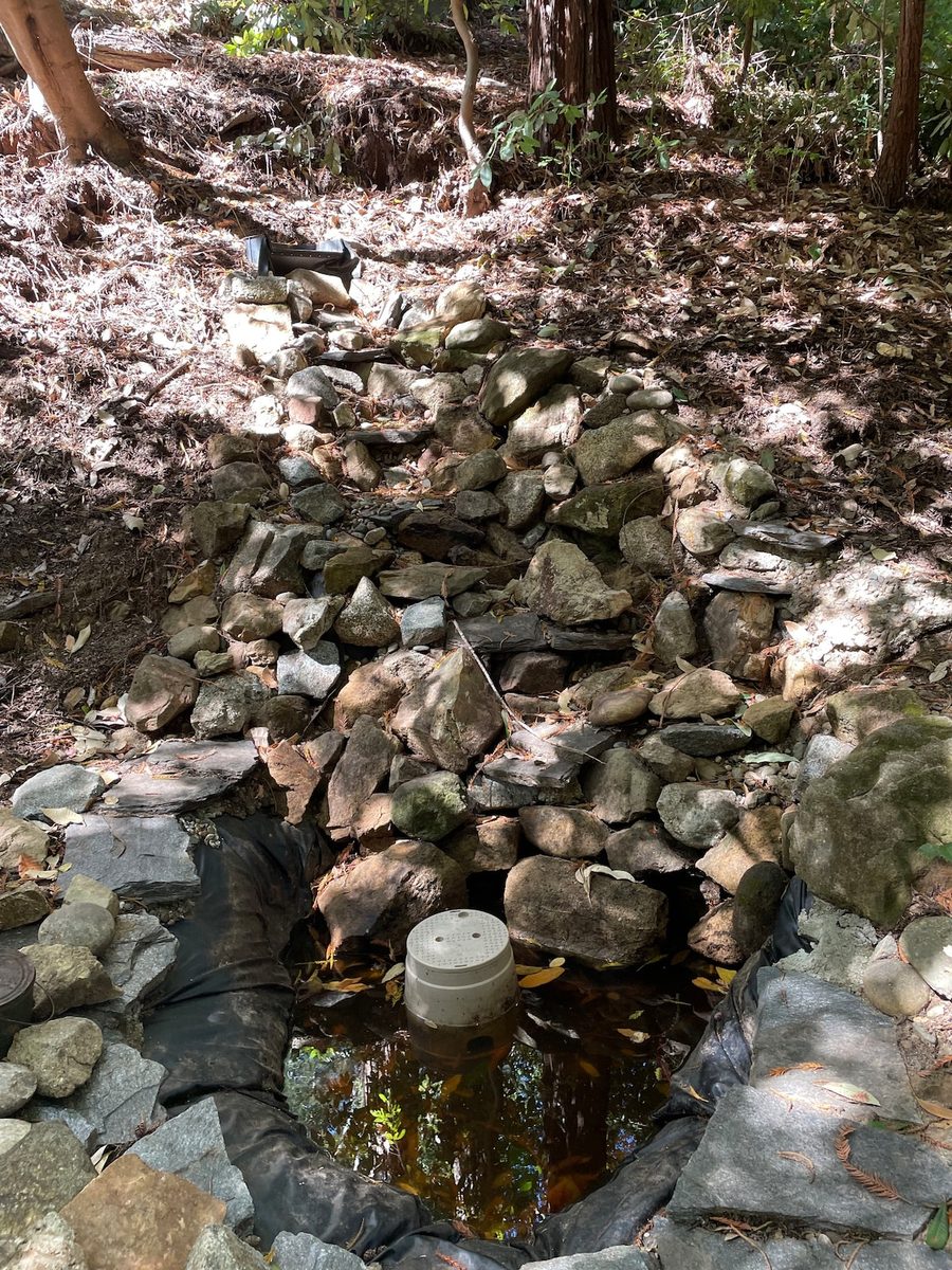 Forest Grounds & Exterior photo 11