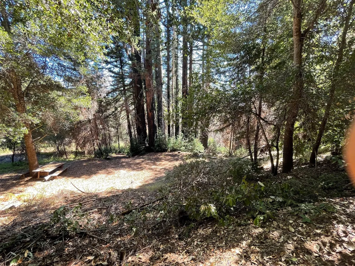 The Crow's Nest Retreat — photo 77