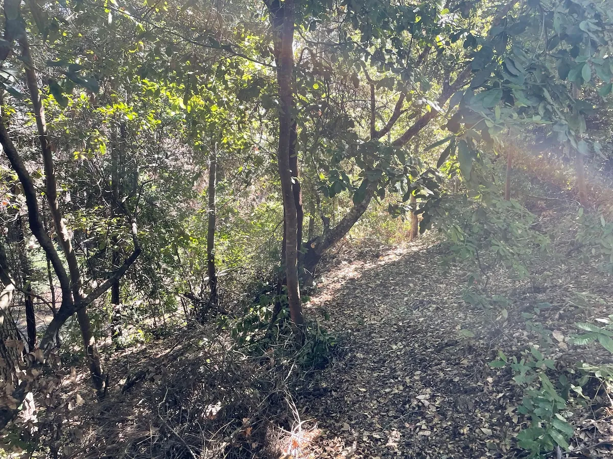 The Crow's Nest Retreat — photo 87