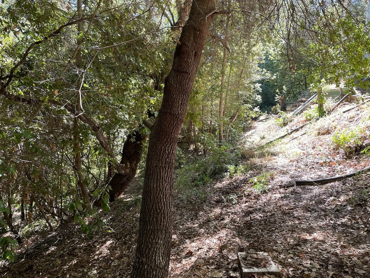 The Crow's Nest Retreat — photo 94