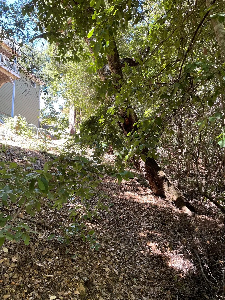 The Crow's Nest Retreat — photo 97