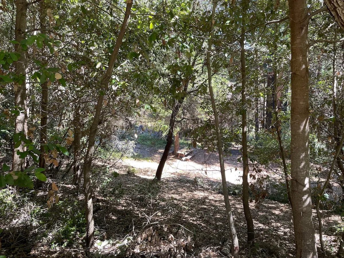 The Crow's Nest Retreat — photo 98