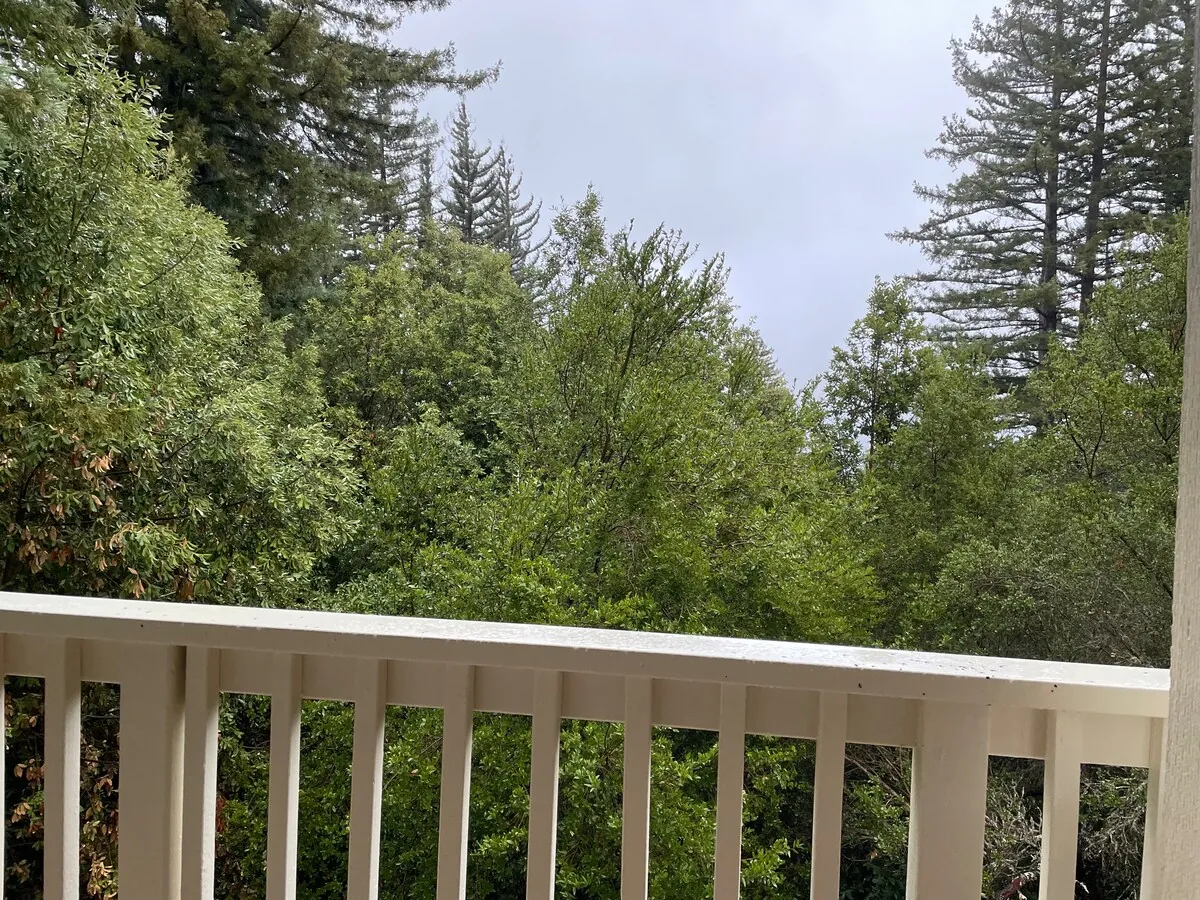 The Crow's Nest Retreat — photo 108