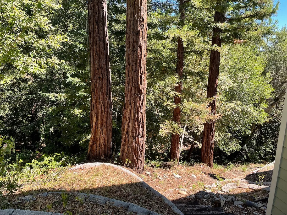 The Crow's Nest Retreat — photo 113