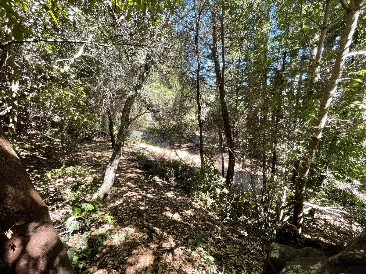 The Crow's Nest Retreat — photo 123