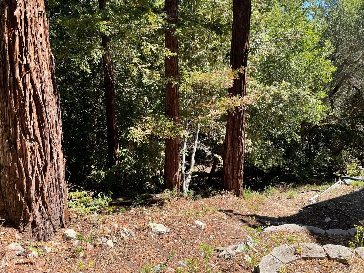 The Crow's Nest Retreat — photo 126