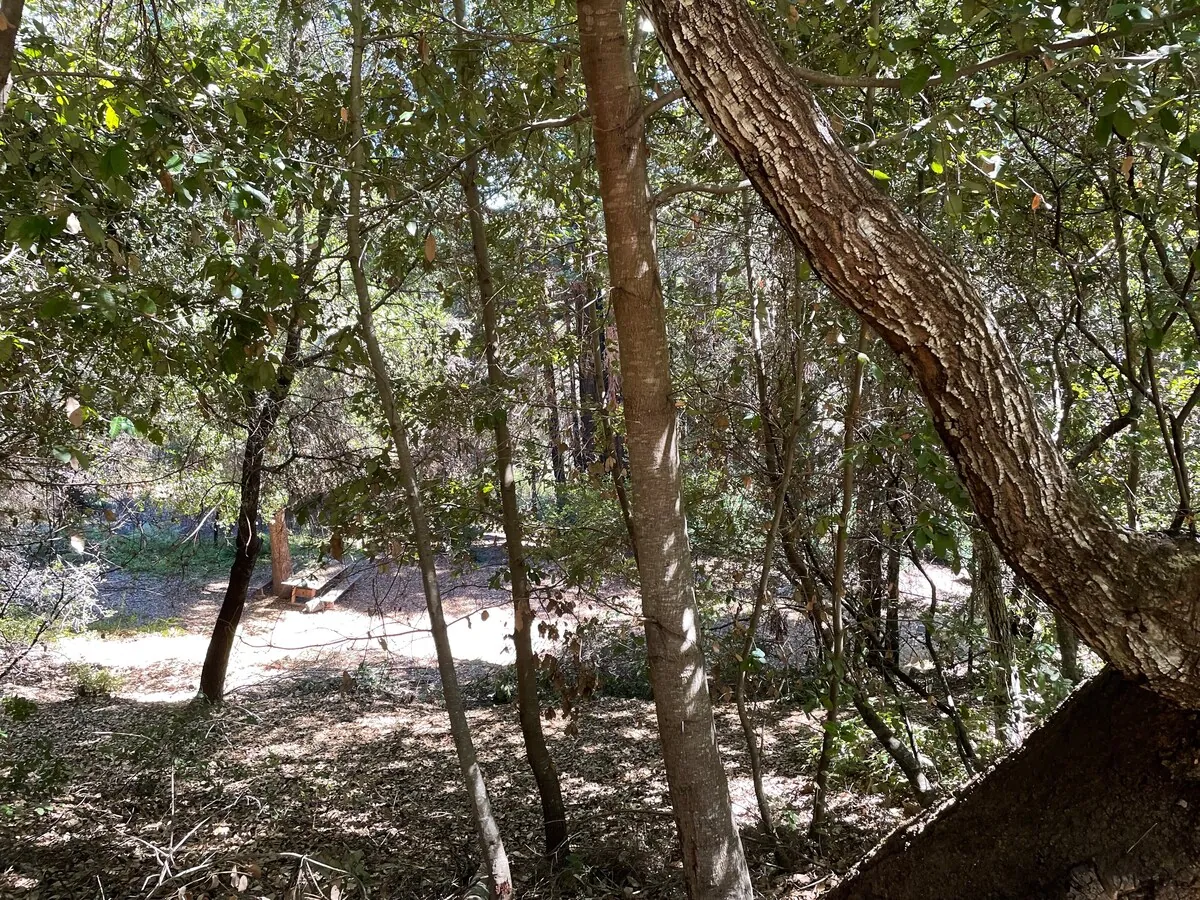 The Crow's Nest Retreat — photo 135